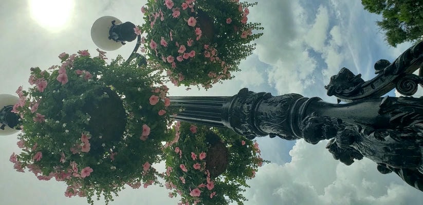 phone pics from florida